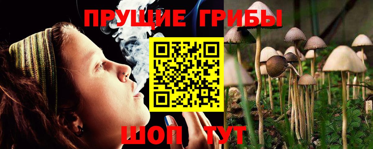 Галлюциногенные грибы GOLDEN TEACHER  Вход с VPN  Краснокамск 